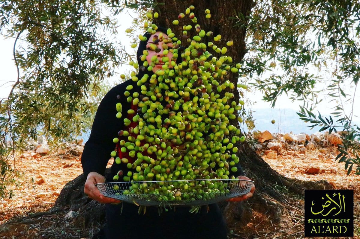Ala'rd Palestinian Agri Products logo