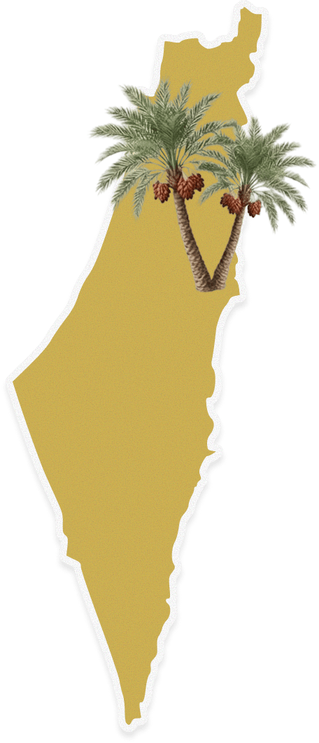 Map of Palestine with date palms